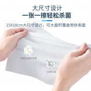 Alcohol Wipes - Micro Defence Skin Care Antibacterial Wet Wipes