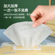 Kitchen Wet Wipes - HB-40