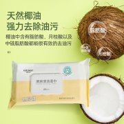Kitchen Wet Wipes - HB-40